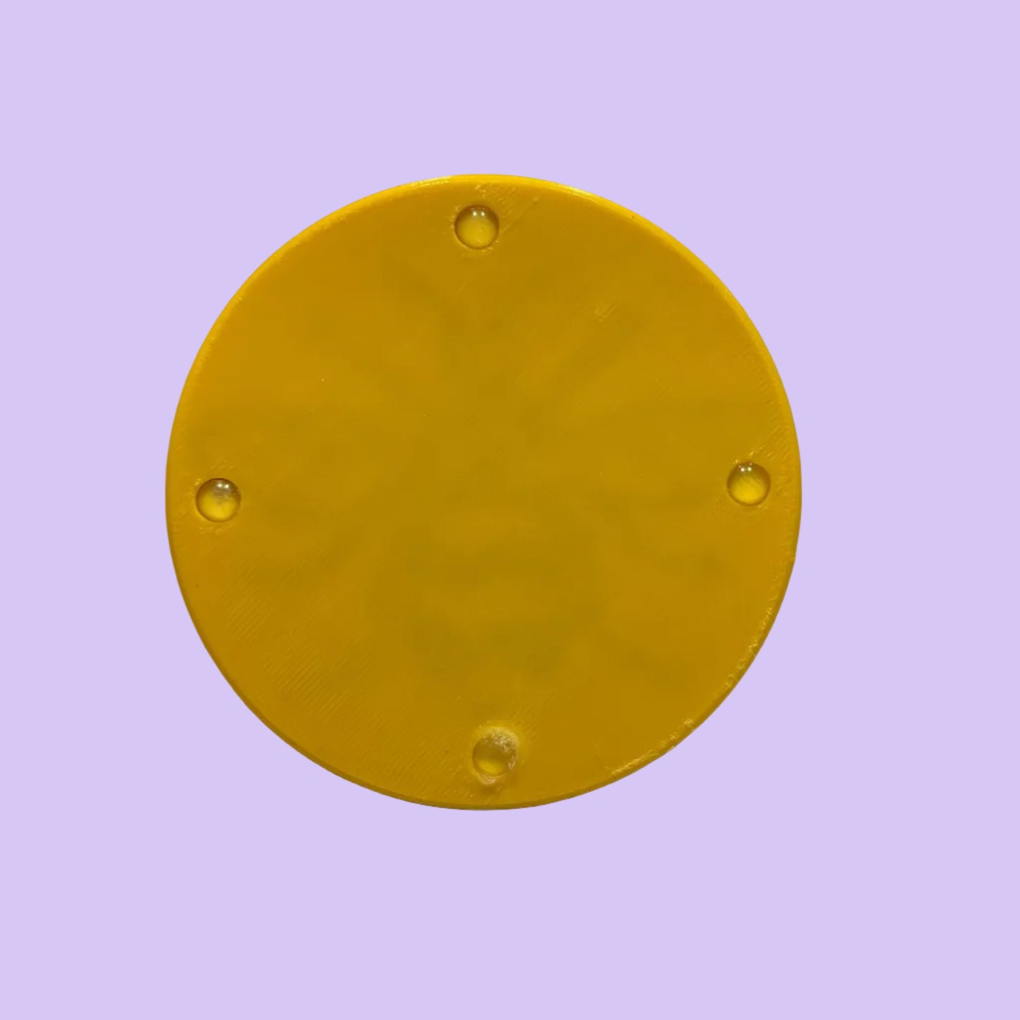 Coaster - Manchester Bee - Carter Yellow Black - Rear View