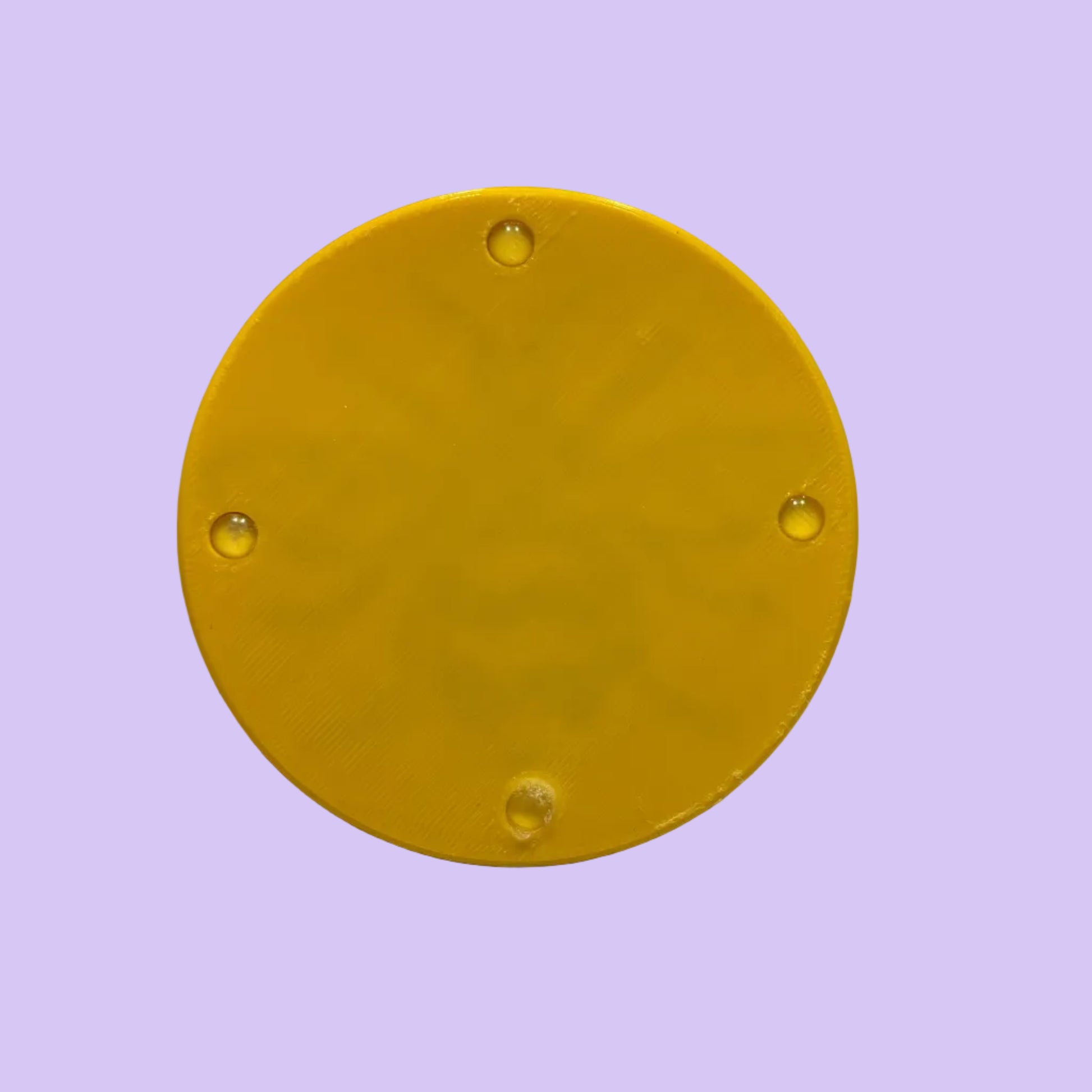 Coaster - Manchester Bee - Carter Yellow Black - Rear View