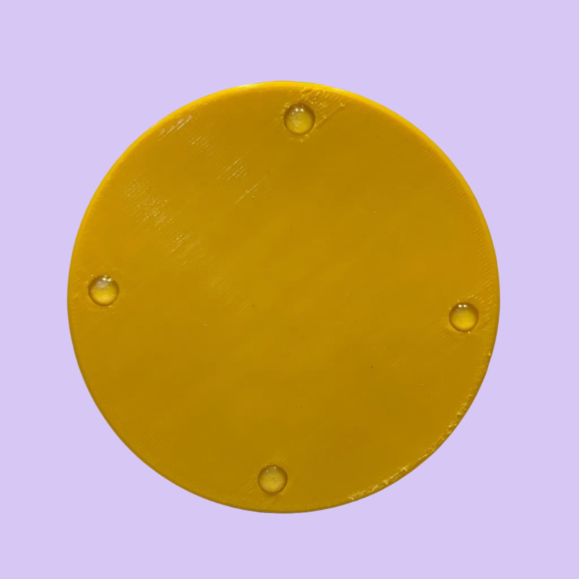 Coaster - Manchester Bee - Carter Yellow White - Rear View
